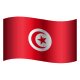 튀니지 원형 이모티콘 icon
