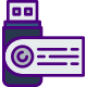 Flash Drive icon