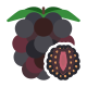 Blackberry icon