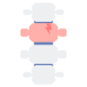 Anatomy icon