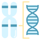 Chromosome icon