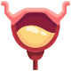 Bladder icon