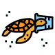 Turtle icon