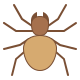 Araignée icon