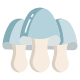 Paddy Straw Mushroom icon