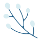 Branch icon