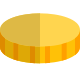 Precious gold coin isolated on a white background icon