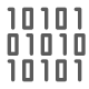 Binary icon