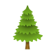 Evergreen Tree icon