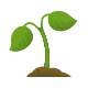 Seedling icon