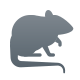 大鼠Silhuette icon