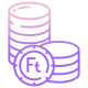 Forint icon