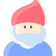 Gnome icon