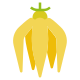 Ylang-ylang icon