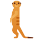 Suricate Lunette icon