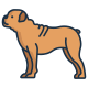 牛头犬 icon