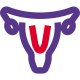 Uterus color image isolated on a white background icon