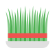 사브제 icon