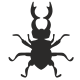Colorado Beetle icon