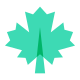 Ahornblatt icon