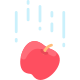 Apple icon