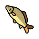 Carp icon