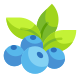 Berries icon