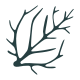 Seaweed icon