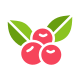 Berries icon