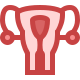 子宮 icon