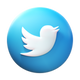 Twitter cerchiato icon