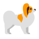 papillon-dog icon