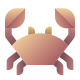 Crabe icon