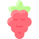 Framboise icon