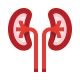 Kidneys icon