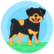 Dog icon