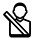 Passagier icon