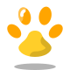 Orma del gatto icon