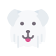 Soft Coated Wheaten Terrier icon