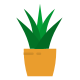 阳光下的植物 icon