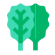 Collard Greens icon