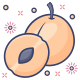 Apricots icon