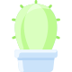 Cactus icon