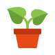 Planta en maceta icon