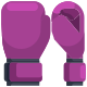 Boxing Gloves icon