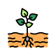 Growing Plant icon