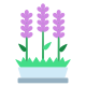 Lavender icon