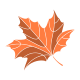 Maple leaf icon