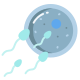 Sperm icon