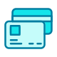 Credit Card icon